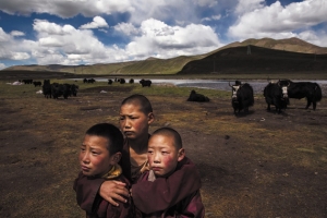 Kevin Frayer/Getty A group of young Tibetan monks huddles on a degraded pasture on the Tibetan Plateau.