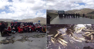 Tibetans in Minyak County eastern Tibet protesting against mining operation in their region Photo: TPI - See more at: http://www.contactmagazine.net/articles/tibetan-protest-chinese-mining-firms/#sthash.IF2NIKvW.dpuf