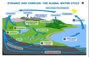 Building-a-water-cycle