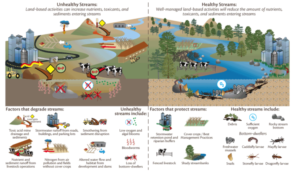 What Are The Factors Affecting The Quality Of Water