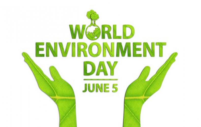 world environment day presentation ppt